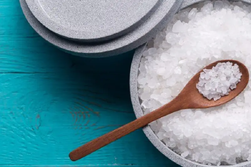 قیمت عمده سود سوزآور در تهران