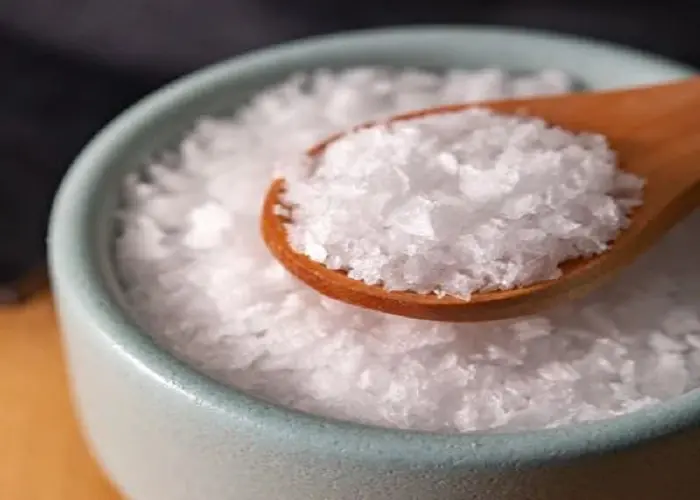 صادرات سود سوزآور