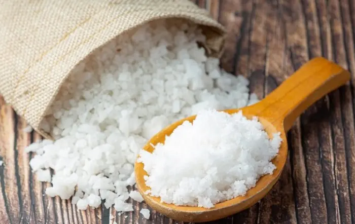 صادرات سود سوزآور