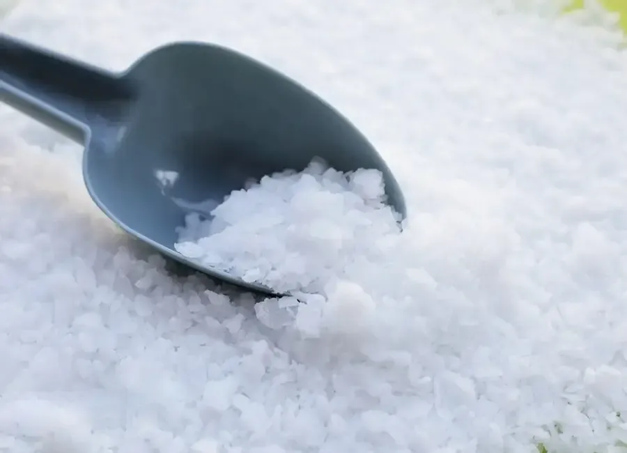 پخش عمده سود سوزآور